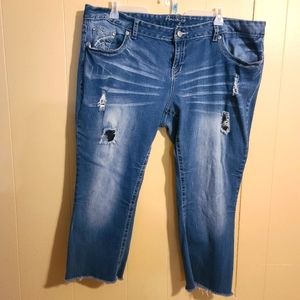 Women's plus size 24 Amethyst jeans
